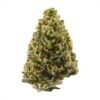 Northern Lights Weed Strain UK