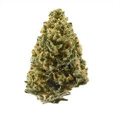 Northern Lights Weed Strain UK