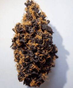 Purple Punch Weed Strain UK