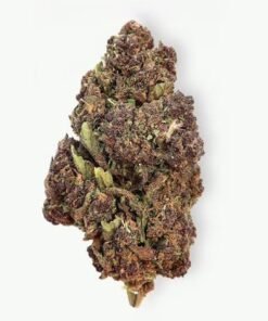 Purple Urkle Marijuana Strain UK
